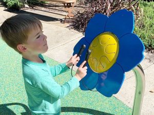Forget Me Not Petal Drum
