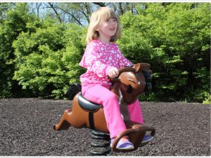 Derby Spring Rider