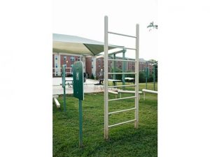 Vertical Ladder