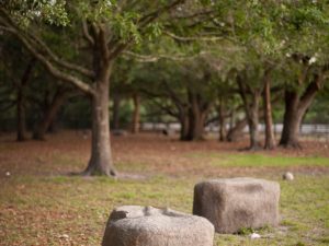 Natural looking play components accentuate any environment.