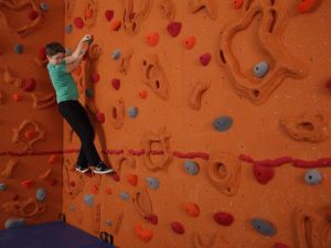 Everlast Climbing Sandstone Relief-Feature™ Wall