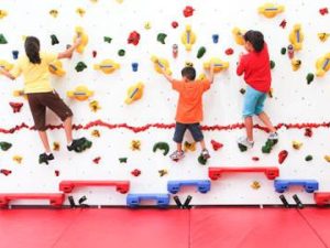Adaptive Climbing Wall