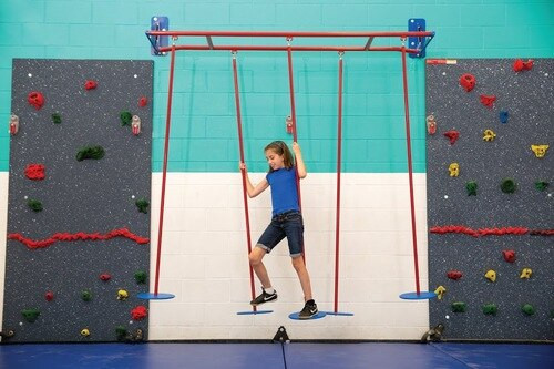 images Everlast Climbing Safari Circle Steppers