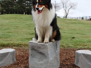 Dog-On-It Parks Dog Park Stepping Stones