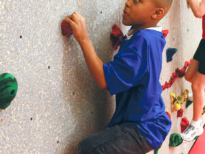 Everlast Climbing wall detail