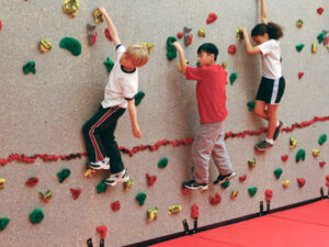 Everlast Climbing 8' School Climbing Traverse Wall